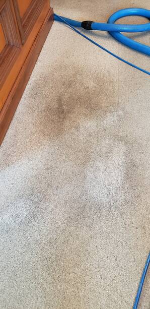 Carpet Stain Removal in Lebanon, OH (1)