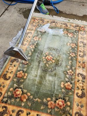 Area Rug Cleaning Services in Middletown, OH (2)