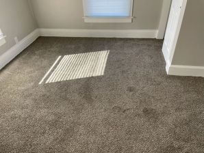 Carpet Repair Services in Middletown, OH (1)