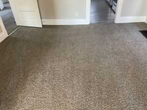 Carpet Repair Services in Middletown, OH (3)